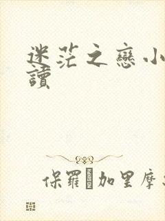 迷茫之恋小说阅读