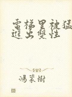 电梯里被猛烈的进出双性