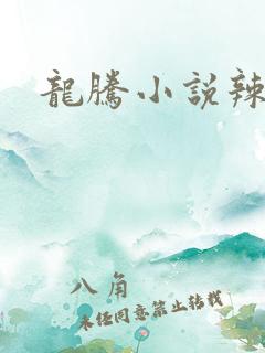 龙腾小说辣文网