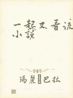 一起又看流星雨小说