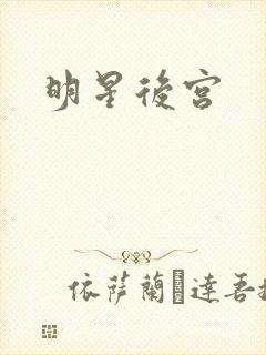 明星后宫