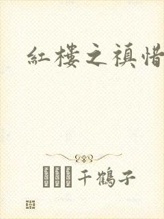 红楼之禛惜黛玉