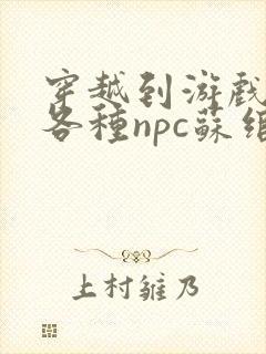 穿越到游戏里和各种npc苏绾