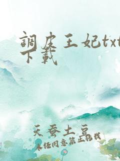 调皮王妃txt下载