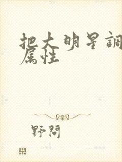 把大明星调成专属性