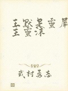 王默是灵犀阁公主灵沫