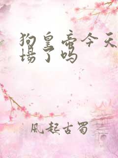 狗皇帝今天火葬场了吗