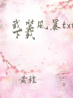 武装风暴txt下载