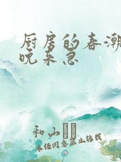 厨房的春潮带雨晚来急