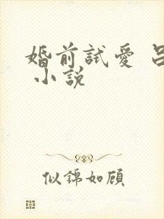婚前试爱 吕颜 小说