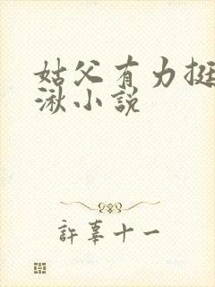 姑父有力挺送徐湫小说