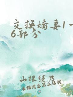 交换娇妻1一36部分