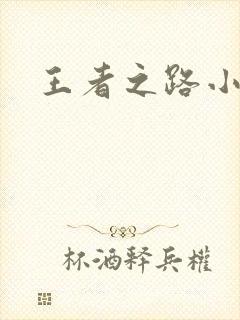 王者之路小说