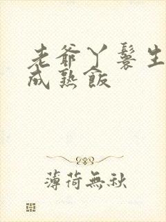 老爷丫鬟生米煮成熟饭