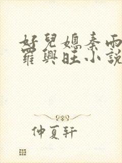 好儿媳秦雨罗明罗兴旺小说