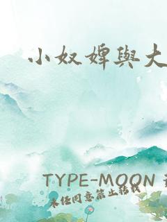 小奴婢与大少爷