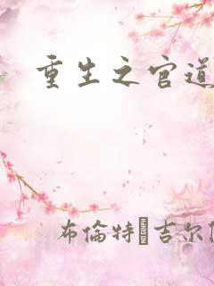 重生之官道吧