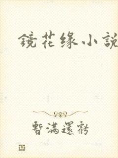 镜花缘小说