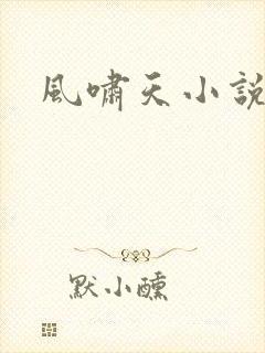风啸天小说