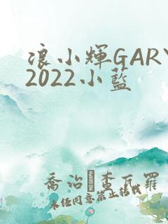 浪小辉GARY2022小蓝