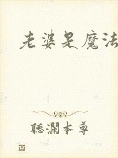 老婆是魔法少女