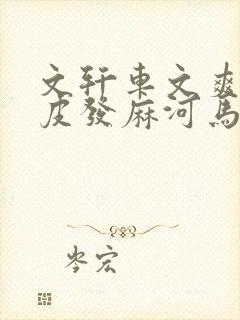 文轩车文爽到头皮发麻河马的秘密河