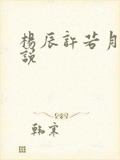 杨辰许若月的小说