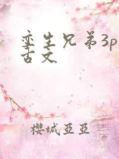 孪生兄弟3ph古文