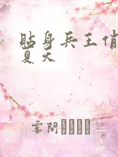 贴身兵王俏总裁夏天