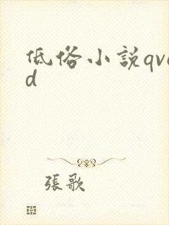 低俗小说qvod