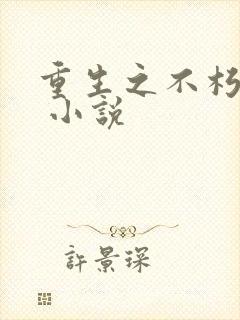 重生之不朽传奇 小说