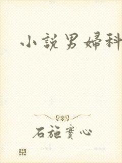小说男妇科医生