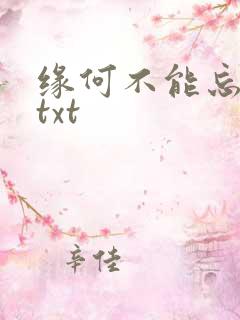 缘何不能忘记你txt