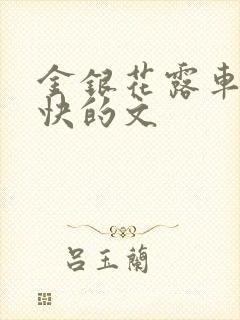 金银花露车速最快的文