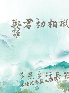 与君初相识 小说