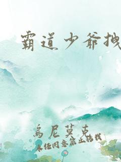 霸道少爷拽上我