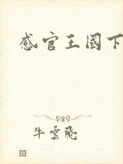 感官王国下载