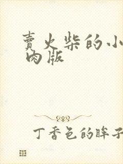 卖火柴的小男孩 肉版