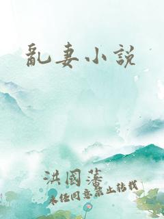乱妻小说