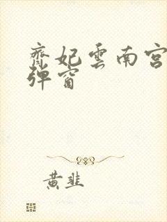 齐妃云南宫夜无弹窗