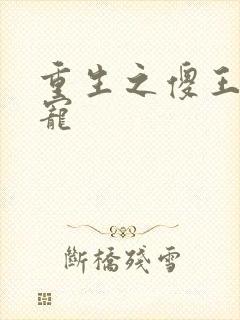 重生之傻王心尖宠