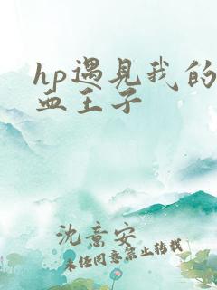 hp遇见我的混血王子