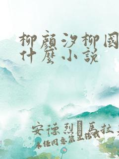 柳颜汐柳国安是什么小说