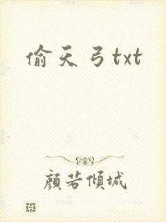 偷天弓txt