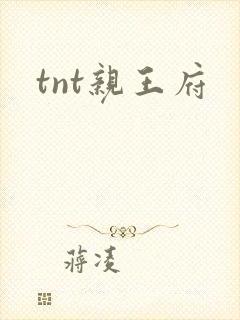 tnt亲王府