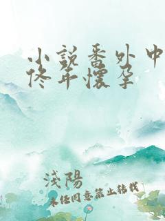 小说番外中结局佟年怀孕