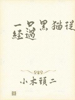 一只黑猫从眼前经过