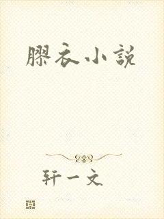胶衣小说