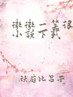 微微一笑很倾城小说下载