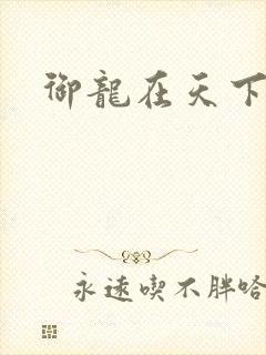 御龙在天下载